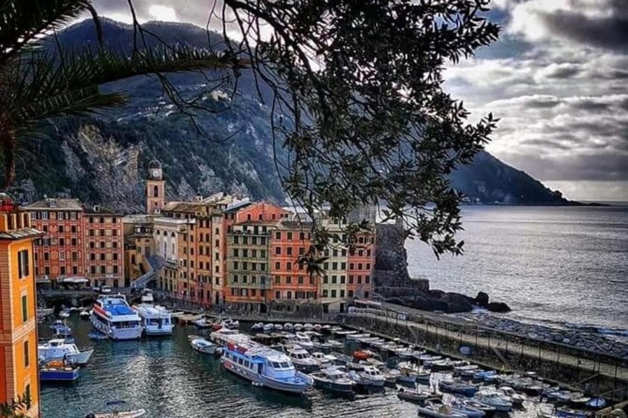 Rosablu Vacanza Tra Mare E Parco Di Portofino Camogli Luaran gambar