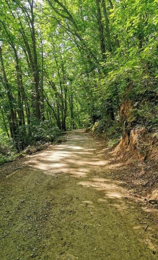 Rosablu Vacanza Tra Mare E Parco Di Portofino Camogli Luaran gambar