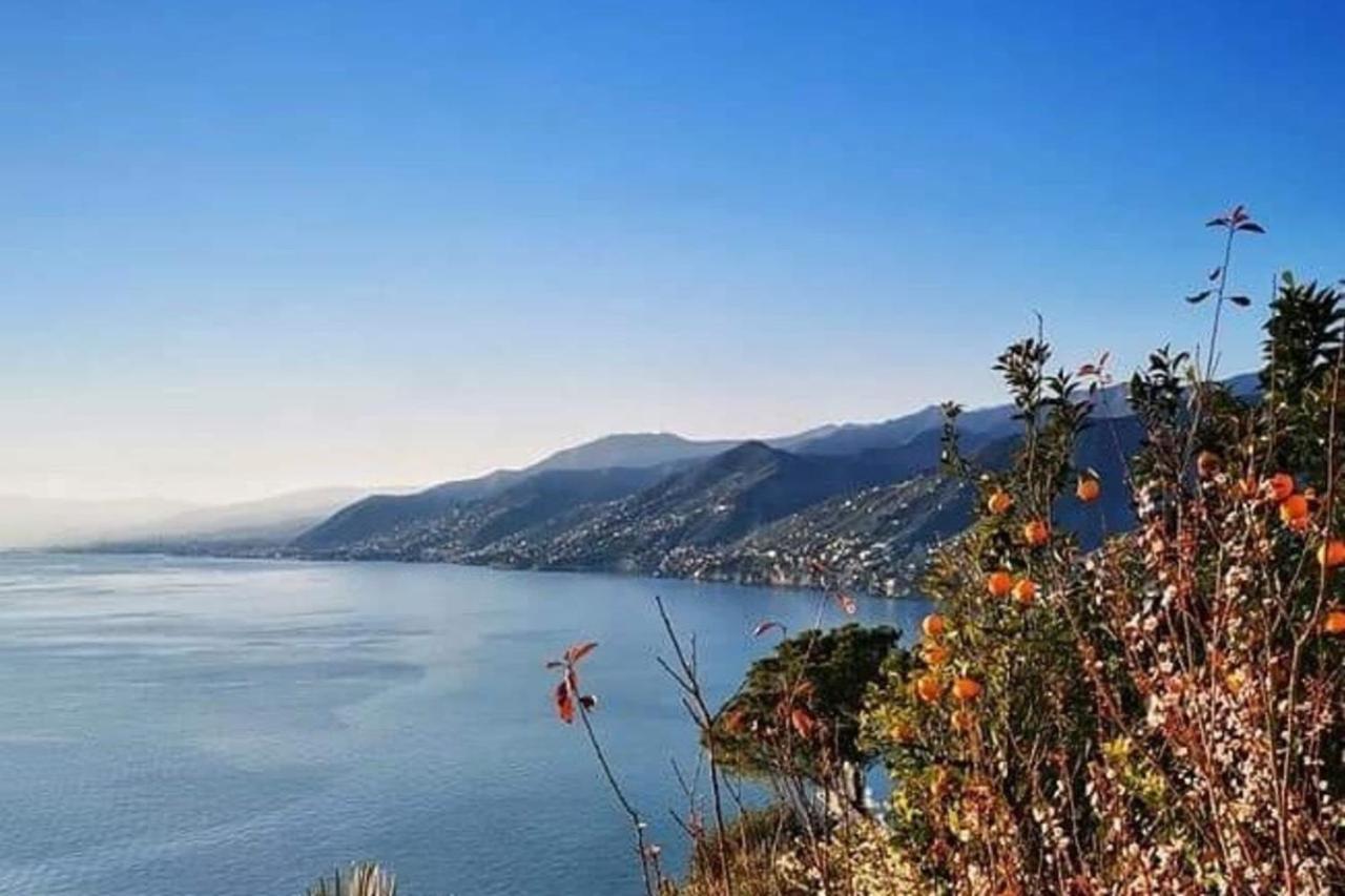 Rosablu Vacanza Tra Mare E Parco Di Portofino Camogli Luaran gambar