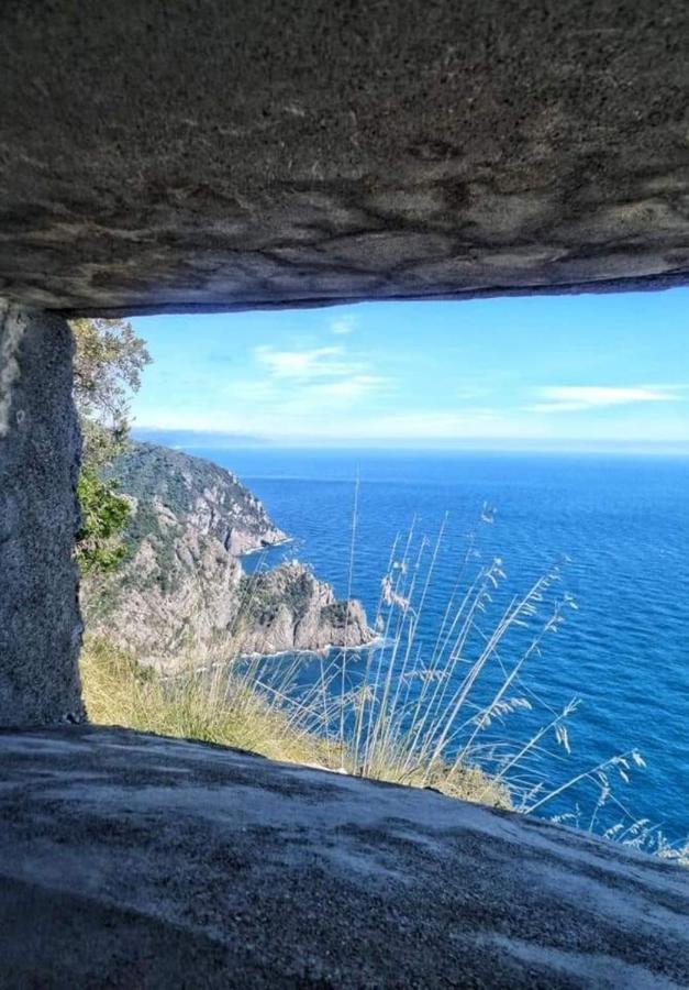 Rosablu Vacanza Tra Mare E Parco Di Portofino Camogli Luaran gambar