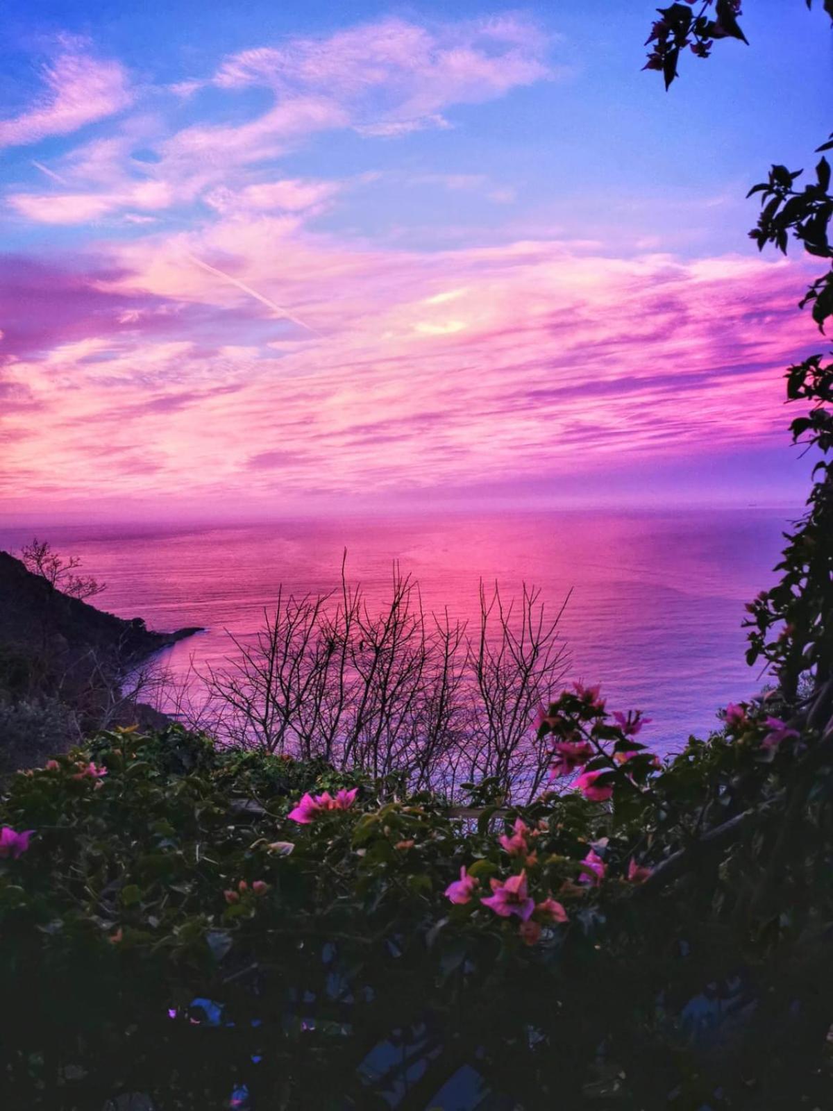 Rosablu Vacanza Tra Mare E Parco Di Portofino Camogli Luaran gambar